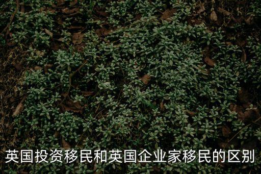 企業(yè)家移民，英國(guó)的企業(yè)家移民是怎么樣一回事