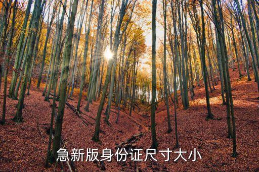 急新版身份證尺寸大小