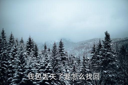 丟失的錢包，錢包丟失了要怎么找回