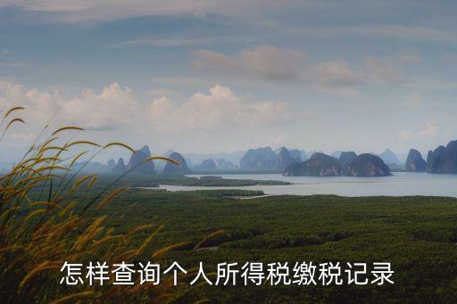 怎樣查詢個(gè)人所得稅繳稅記錄