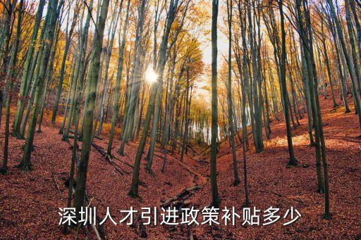 深圳人才引進(jìn)政策補(bǔ)貼多少
