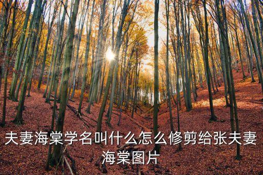 夫妻性生活自拍，絕望主婦里面有對(duì)夫妻喜歡sex自拍后來(lái)被被自己孩子拿去是哪一集