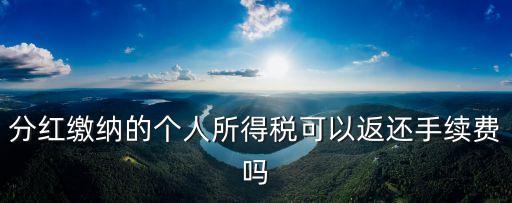 分紅繳納的個人所得稅可以返還手續(xù)費嗎