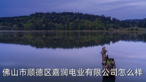 佛山市順德區(qū)嘉潤電業(yè)有限公司怎么樣