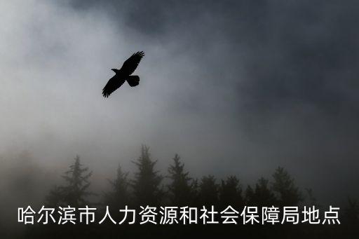 哈爾濱市人力資源和社會保障局地點