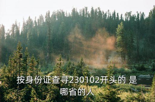 按身份證查尋230102開頭的 是哪省的人