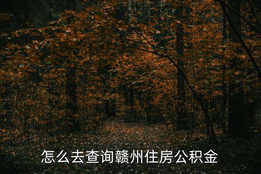 怎么去查詢贛州住房公積金