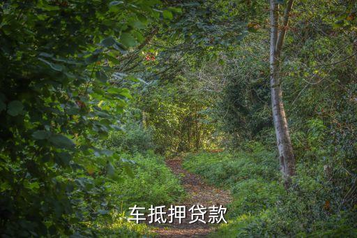 車抵押貸款