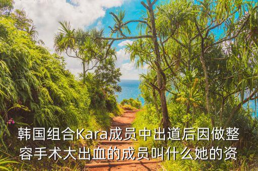 韓愛麗，整容失敗的女星有哪些
