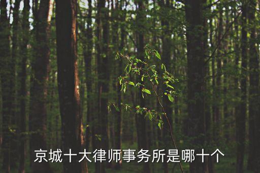 君澤君，京城十大律師事務(wù)所是哪十個(gè)