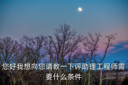 您好我想向您請(qǐng)教一下評(píng)助理工程師需要什么條件