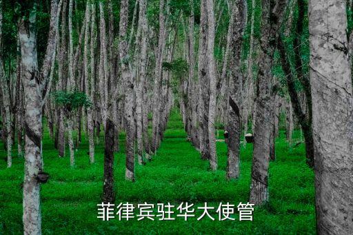菲律賓駐華大使管