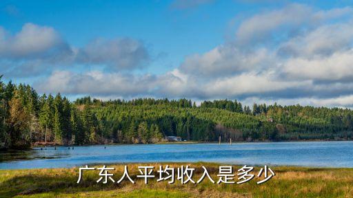 廣東平均工資，現(xiàn)在廣東打工的平均工資大概多少
