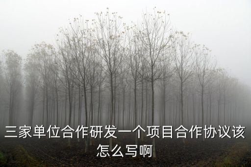 三家單位合作研發(fā)一個項目合作協(xié)議該怎么寫啊