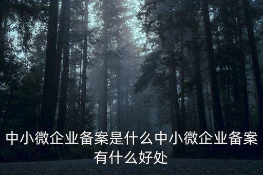 中小微企業(yè)備案是什么中小微企業(yè)備案有什么好處