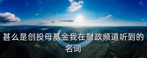 母基金，甚么是創(chuàng)投母基金我在財政頻道聽到的名詞