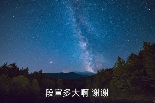 段宣，段宣多大啊 謝謝
