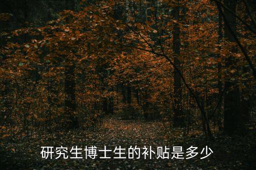 研究生博士生的補(bǔ)貼是多少