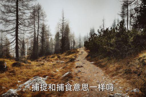 捕捉是什么意思，黃歷里的捕捉是什摸意思