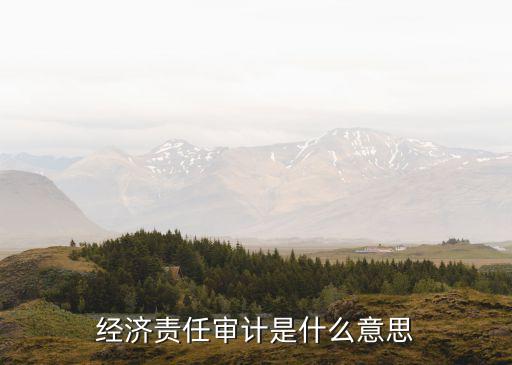 經(jīng)責(zé)審計，經(jīng)濟(jì)責(zé)任審計是怎么回事