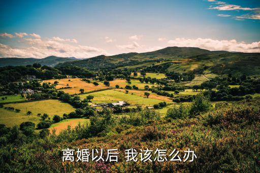 離婚以后，離婚之后應(yīng)該怎么辦
