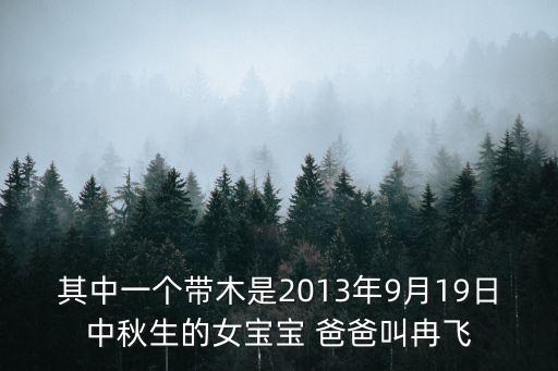 其中一個帶木是2013年9月19日中秋生的女寶寶 爸爸叫冉飛