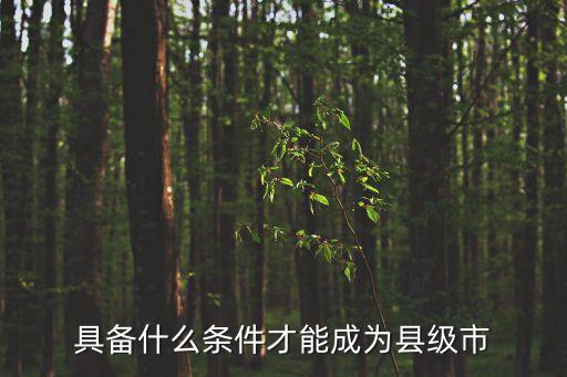 具備什么條件才能成為縣級(jí)市