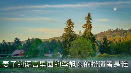 李旭東，李旭東的繁體字是什么