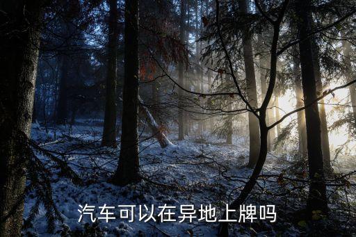 可以異地上牌照嗎，可不可以上外地牌照