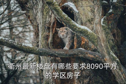 衢州最新樓盤有哪些要求8090平方的學(xué)區(qū)房子