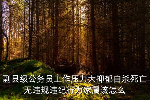 副縣級公務(wù)員工作壓力大抑郁自殺死亡無違規(guī)違紀(jì)行為家屬該怎么