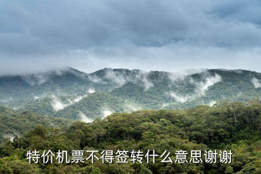 特價機(jī)票不得簽轉(zhuǎn)什么意思謝謝
