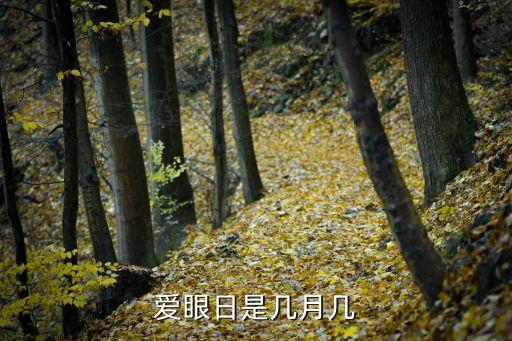 愛眼日，愛眼日是幾月幾