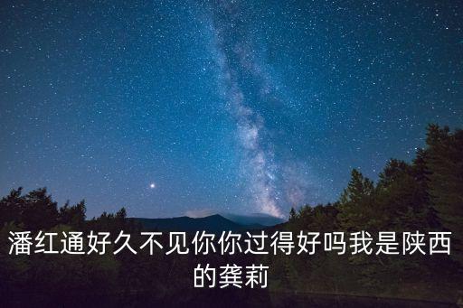 潘紅通好久不見(jiàn)你你過(guò)得好嗎我是陜西的龔莉