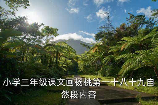畫楊桃教案，11畫楊桃分三部分第二部分主要講