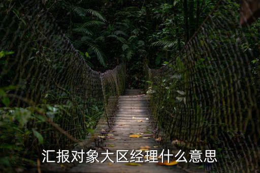 匯報(bào)對(duì)象大區(qū)經(jīng)理什么意思