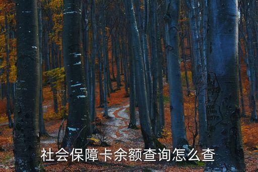 社?？ㄓ囝~查詢，社會(huì)保障卡余額查詢?cè)趺床?/></a></span><span id=