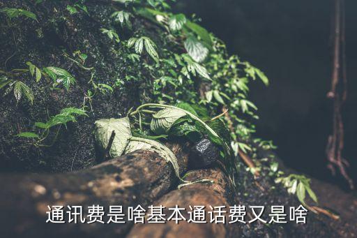 通訊費(fèi)，請(qǐng)問(wèn)一下什么是通訊費(fèi)