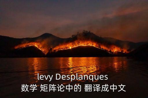 levy Desplanques 數(shù)學(xué) 矩陣論中的 翻譯成中文