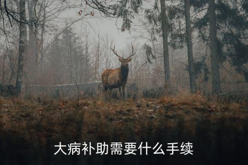 大病救助怎么申請(qǐng)，大病補(bǔ)助需要什么手續(xù)