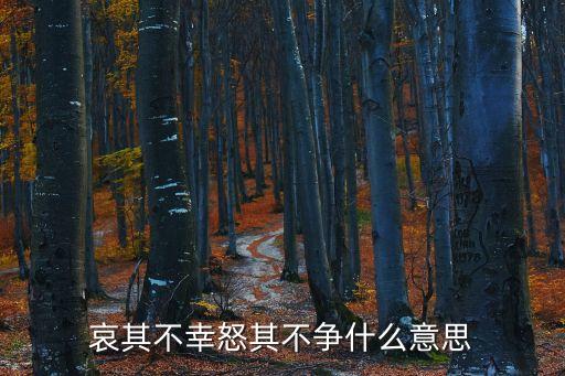 哀其不幸怒其不爭什么意思