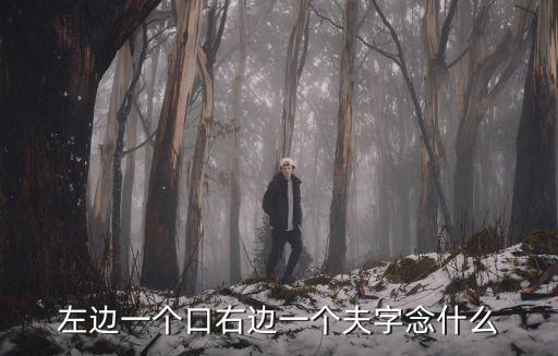 口夫讀什么，口字旁一個夫念什么