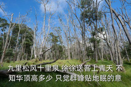 九里松風(fēng)十里泉 徐徐送客上青天 不知華頂高多少 只覺群峰貼地眠的意