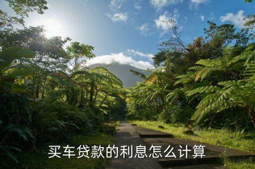 車貸利息怎么算，買車貸款的利息怎么計算