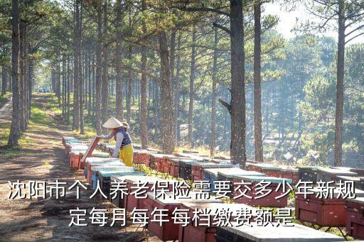 沈陽養(yǎng)老保險(xiǎn)，沈陽市個(gè)人辦理養(yǎng)老保險(xiǎn)都需要什么相關(guān)手續(xù)