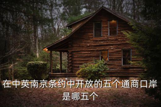 在中英南京條約中開放的五個通商口岸是哪五個