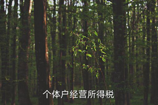 個(gè)體戶經(jīng)營(yíng)所得稅