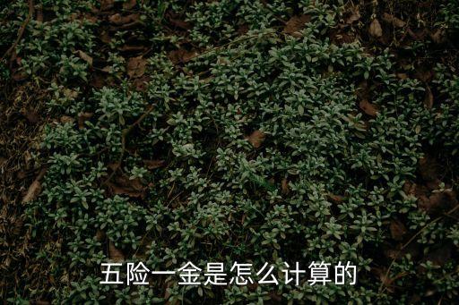 五險(xiǎn)一金是怎么計(jì)算的