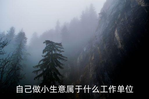 自己做小生意屬于什么工作單位