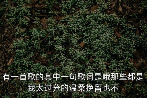 有一首歌的其中一句歌詞是哦那些都是我太過分的溫柔挽留也不